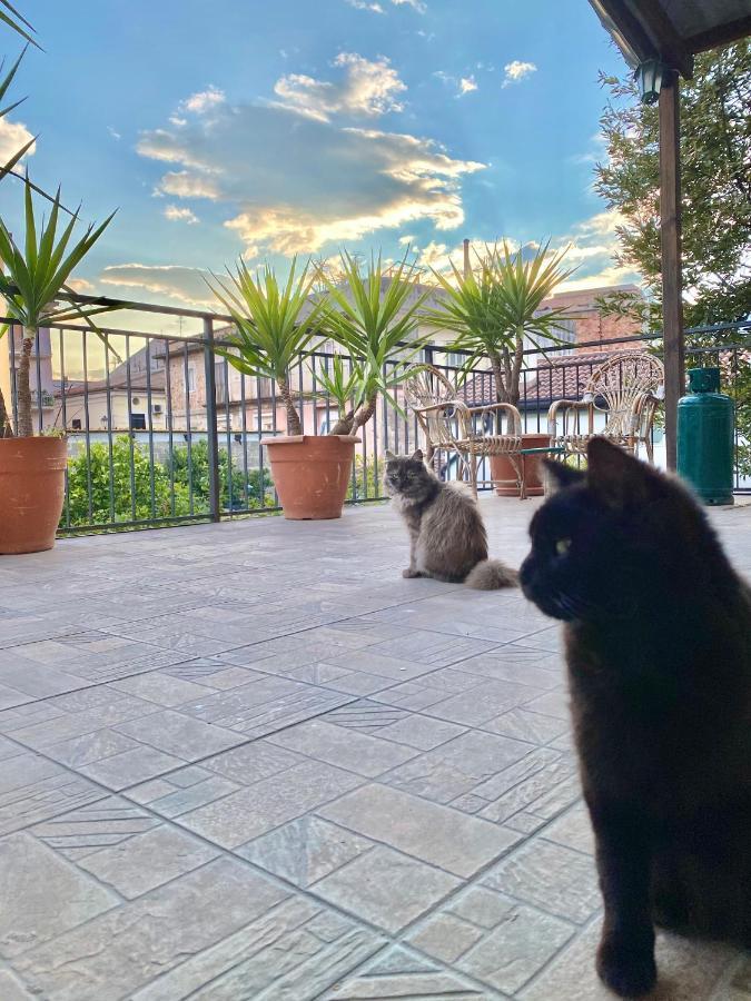 サプリ La Terrazzaヴィラ エクステリア 写真